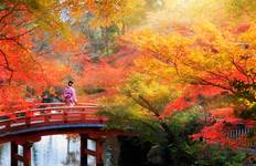 Circuit 7 jours de plaisir au Japon : Tokyo, Mont Fuji, Kyoto