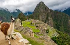 From the Inca Empire to the Peruvian Amazon 2024 Tour