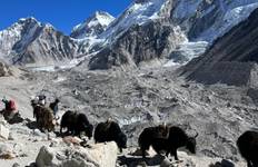 Circuit Trek du camp de base de l'Everest - Original