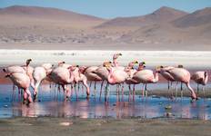 Bolivia Highlights Tour
