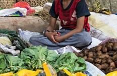 Festivals of Bhutan (Thimpu Festival) Tour