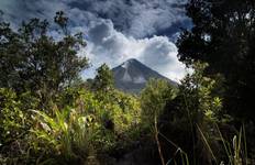 Circuit Aventure familiale dans la forêt tropicale et la faune du Costa Rica