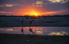 Family Botswana and Zimbabwe Safari Adventure Tour