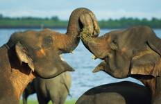 Circuit Aventure familiale au Sri Lanka et aux Maldives