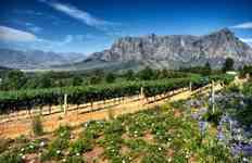 South Africa's Garden Route Tour
