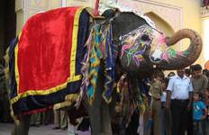 India's Heritage Tour - Taj Mahal with Forts & Palaces of Rajasthan Tour