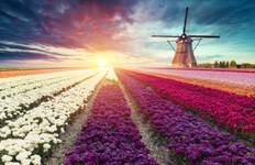 Circuito Holanda y el romántico valle del Rin - crucero puerto a puerto