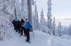 Off The Trails - Snowshoeing tour Tour