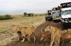 Kenya Round Trip Safari Tour