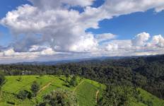 Circuit 3 jours de visite du parc national de Nyungwe