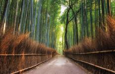 Klassisches Korea und Japan Reise