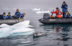 Best of Antarctica: Whale Journey (Ocean Endeavour) Tour