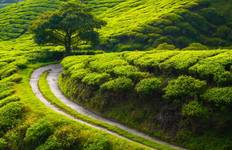 Wonderful Northeast Tour