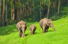 South India Wildlife Tour Tour