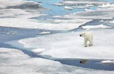 Circuit Le tour du Spitzberg : Un rite de passage, opéré par Quark