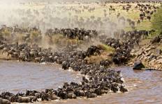 3 Days, 2 Nights Masai Mara Group Joining Safari From Nairobi with Complimentary Airport Pickup. Tour