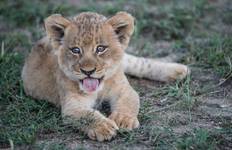 Circuit Essence de l'Inde avec Varanasi et safari du tigre, vols intérieurs et voyage en train inclus