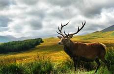 Circuit L'esprit d'Outlander - Circuit de 16 jours