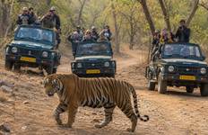 Circuit Circuit du Triangle d'Or avec Ranthambore Jungle Safari - 5 jours