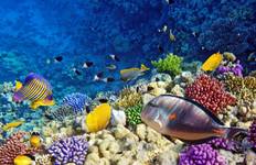 Cairo, Nile Cruise & Hurghada Holiday