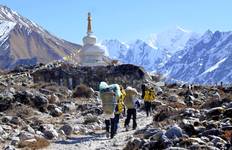 Langtang Trek -11 Days Tour