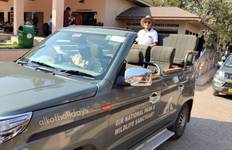 Circuit Safari en Inde - Lions d'Asie et tigres du Bengale