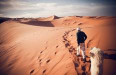 Circuit Excursions dans le désert du Sahara à Marrakech : De Marrakech à Fès