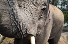 Rondreis Van Chiang Mai naar Chiang Rai 4 dagen en 3 nachten