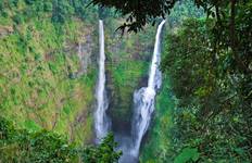 Pakse Stopover Sightseeing Tour to Wat Phou, Don Khone, Khong Island Tour