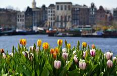 Holland & Belgien Tulpen-Flusskreuzfahrt (Amsterdam - Brüssel - Amsterdam) - MS Charles Dickens 5* Rundreise