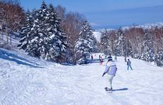 Circuit Japan Winter Classic 11 jours - One Life Adventures