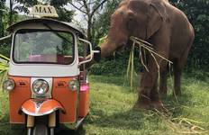 5 Day Chauffeur Driven Tuk Tuk Adventure in Chiang Mai Tour