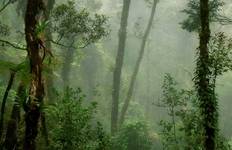 Circuit Sarawak sauvage