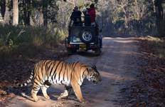 Circuito Safari de tigres en la India con el Taj Mahal