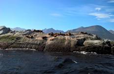 Circuito Patagonia Argentina y Chilena: Calafate, Ushuaia y Puerto Natales - 7 días