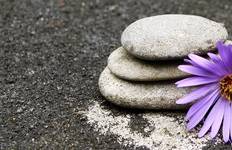 Queensland Daintree Explorer Tour