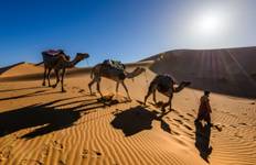 7-Day Sahara Adventure: Camel Trek & Overnight Desert Camping