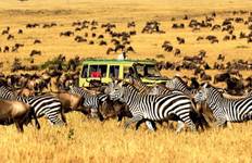 9-Days Best Kenya Family Wildlife Safari from Nairobi Tour