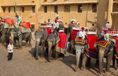 12 Days Luxrury North India Cultural Tour Tour