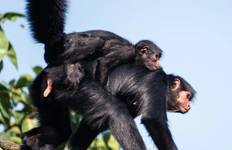 Rondreis Peru Juwelen - 10 Dagen (Lima - Cusco & Puerto Maldonado)