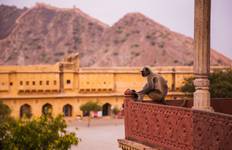 Circuit Points forts de l'Inde du Nord