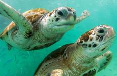 Machu Picchu and Galapagos Tour