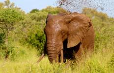 Circuit Circuit terrestre en groupe du Cap aux chutes Victoria