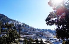 Circuit Circuit privé de 7 jours dans l'Himalaya en voiture privée depuis New Delhi