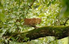 Circuit Découvrez l'Inde du Sud