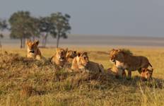 Kenya & Tanzania: The Safari Experience with Zanzibar 16 Days Tour