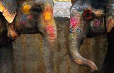 Circuit Circuit de 8 jours en Inde avec faune et flore