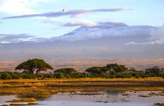 13-day Kenya & Tanzania Adventure (Camping) Tour