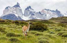 Chile – Patagonia 7 Days W Trek in Torres Del Paine Tour