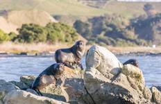 Circuit Aventure sur la côte ouest de la Nouvelle-Zélande